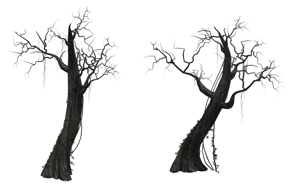PNG Dead Tree - 150353