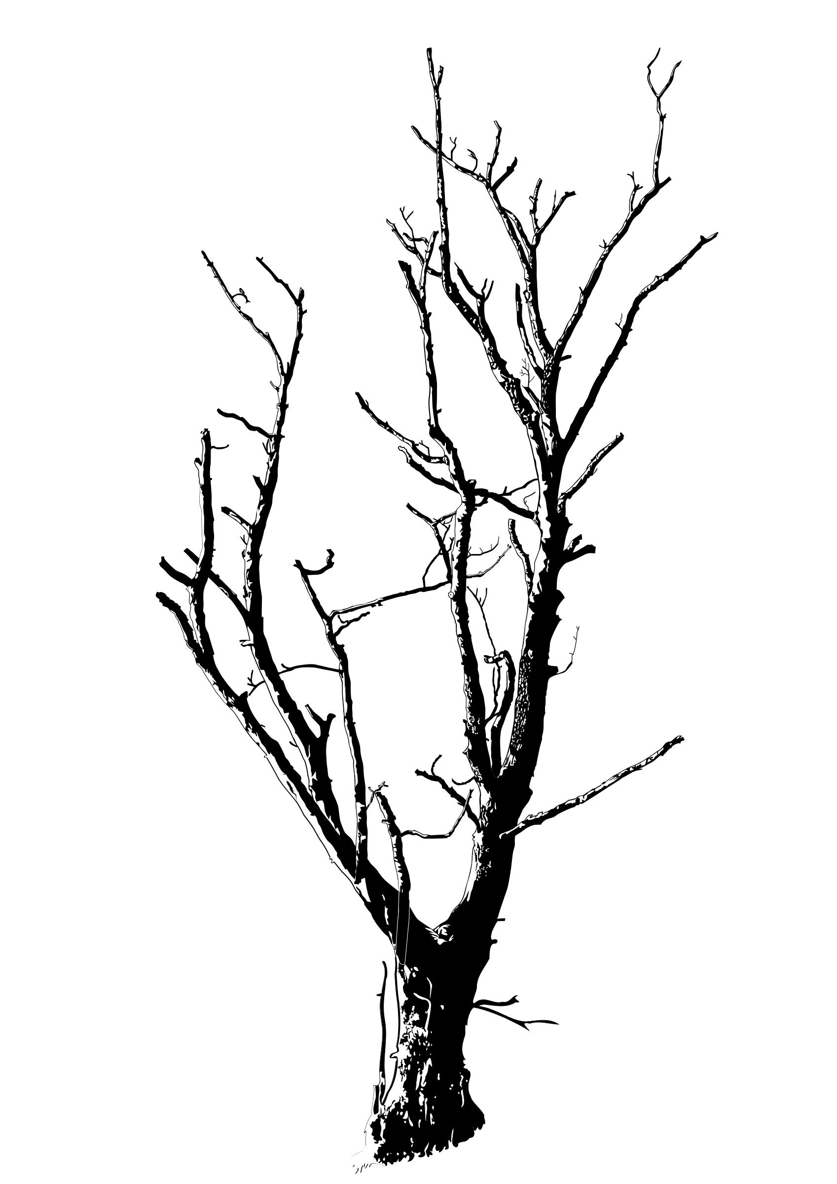 PNG Dead Tree - 150352