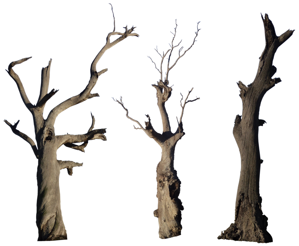 Dead Tree Pack 001 - HB593200