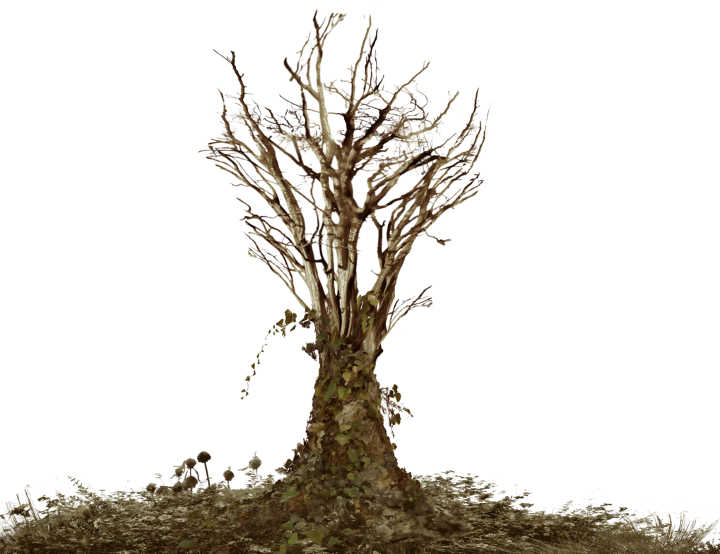 Dead Tree with Ivy PNG Landsc