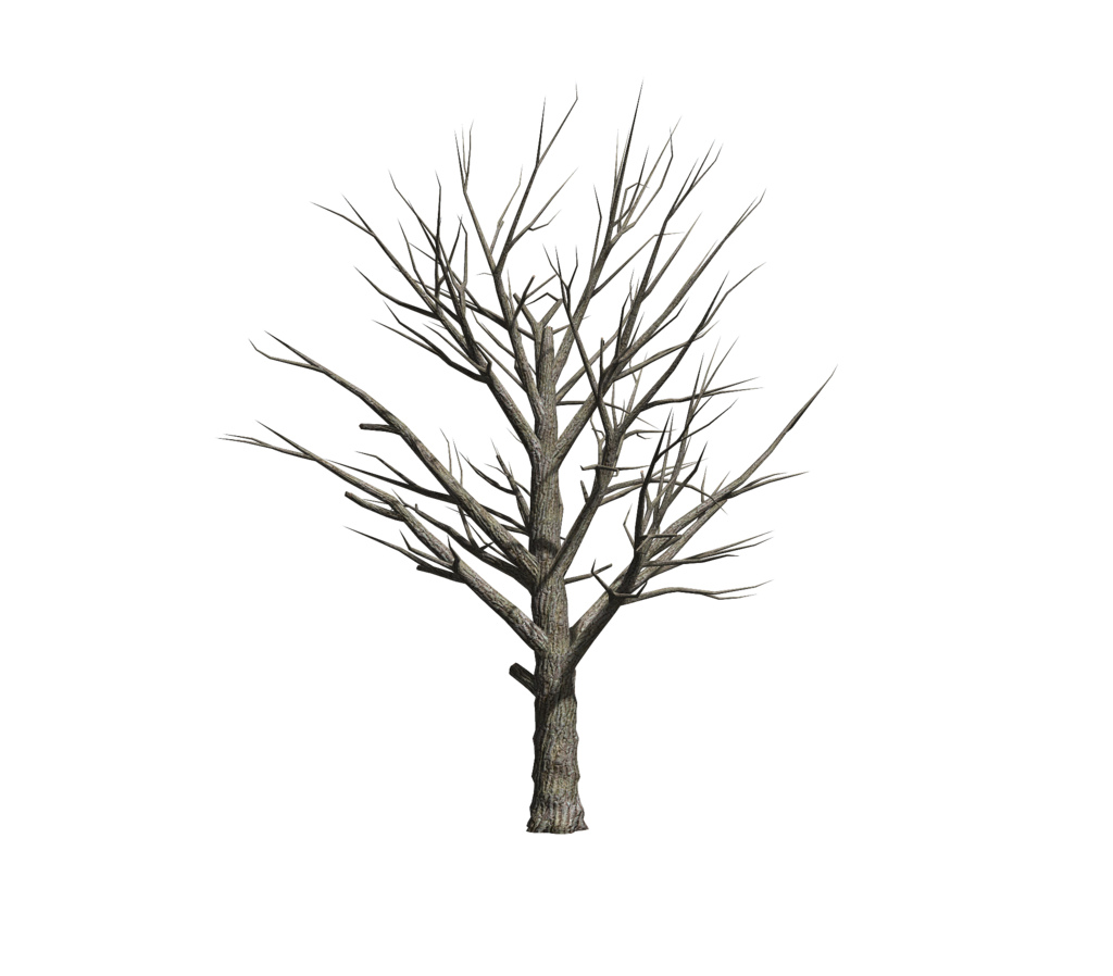 PNG Dead Tree - 150360
