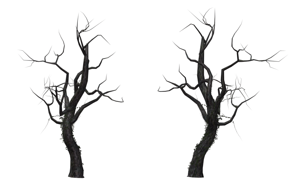 PNG Dead Tree - 150356