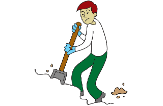 sweet potato digging dig pota