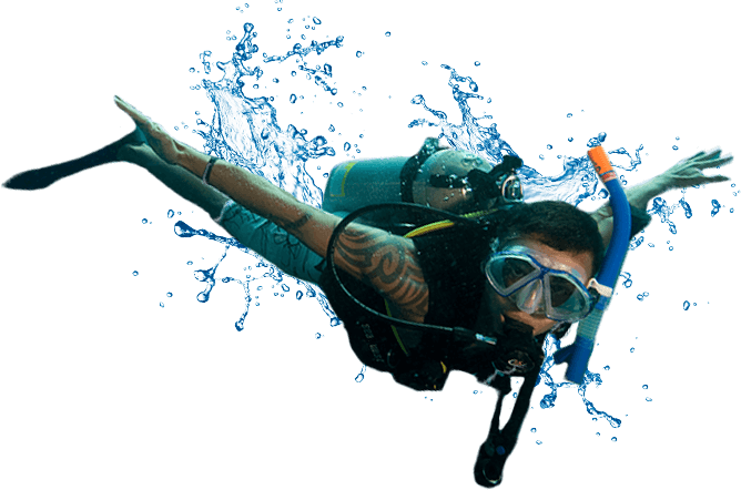 PNG Diving - 152866