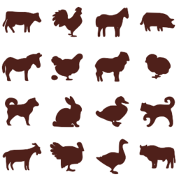 PNG Domestic Animals - 146514
