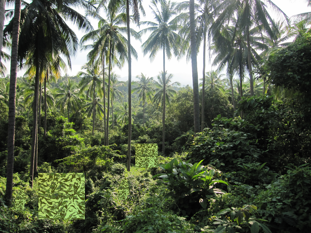 PNG Dschungel - 139782