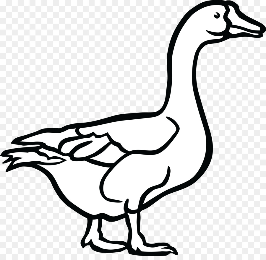 PNG Duck Black And White - 142199