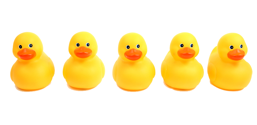PNG Ducks In A Row-PlusPNG.co