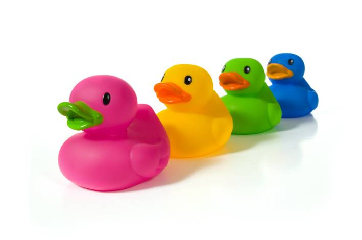 PNG Ducks In A Row - 141227