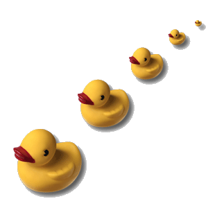 PNG Ducks In A Row - 141231