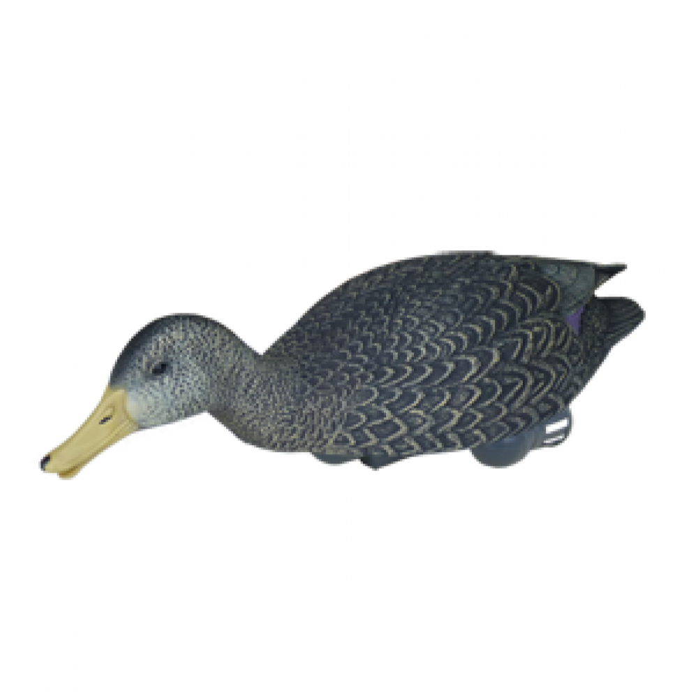 PNG Ducks Swimming - 156490