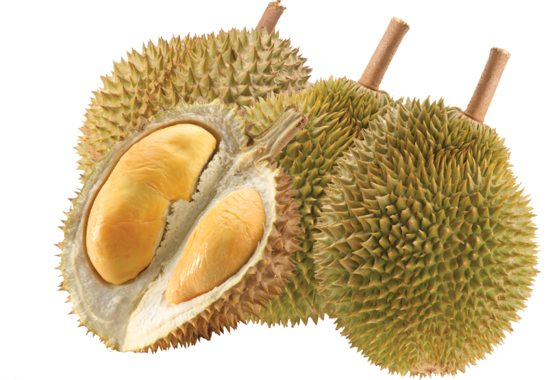 PNG Durian - 135720