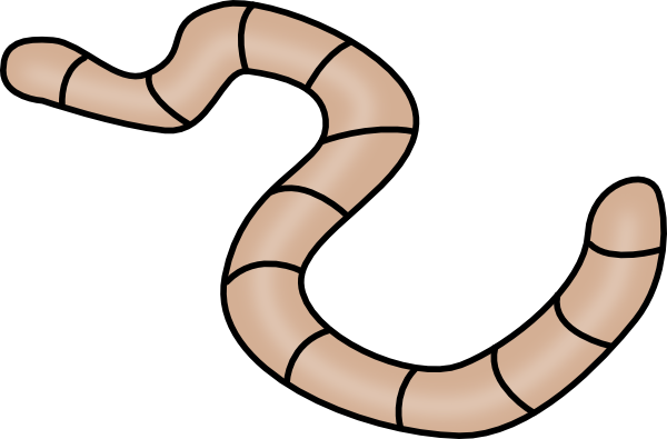 PNG Earthworm - 134063