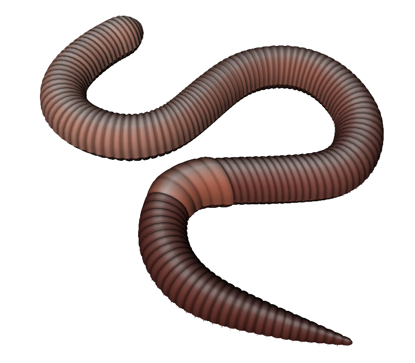Brown Earth Worm