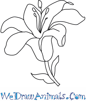 PNG Easy To Draw - 138757