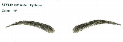 PNG Eyebrows - 62401