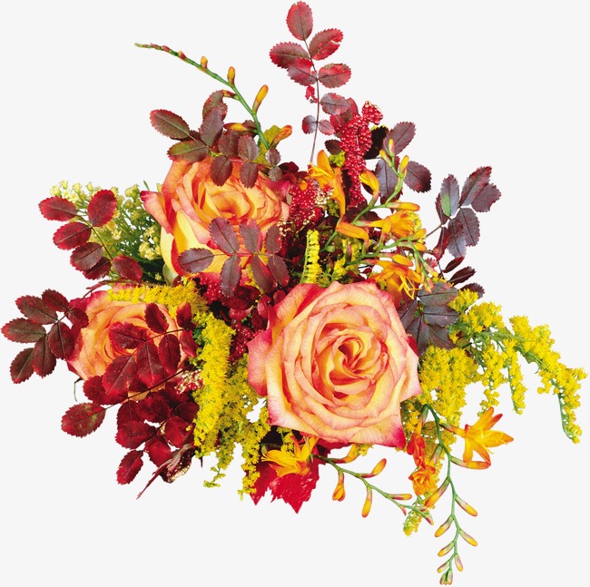 PNG Fall Flowers - 142889