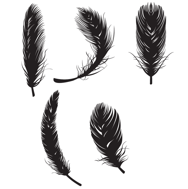PNG Feathers Free - 83761