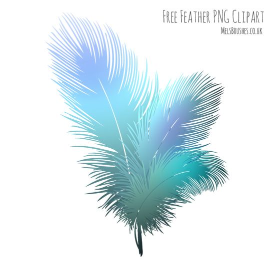 PNG Feathers Free - 83769