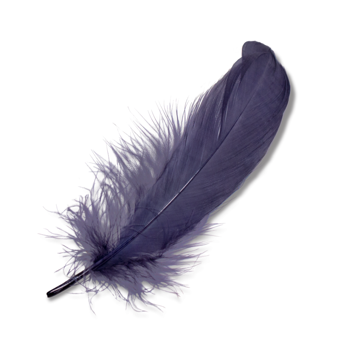 PNG Feathers Free - 83768
