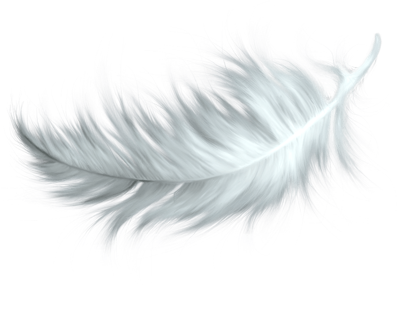 PNG Feathers Free - 83764