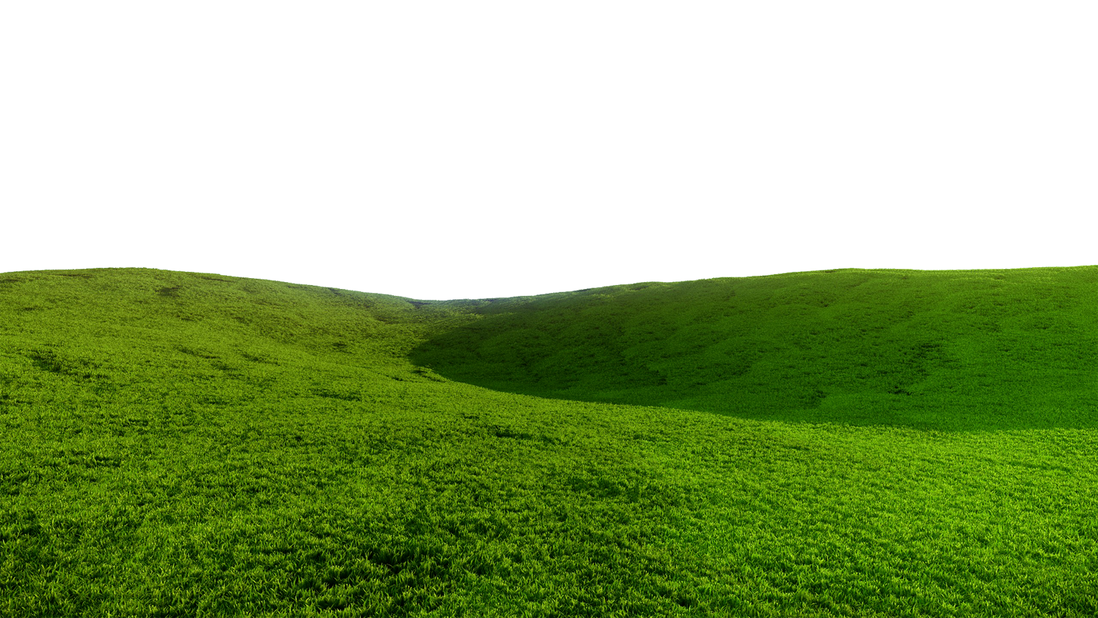 PNG Field - 141261