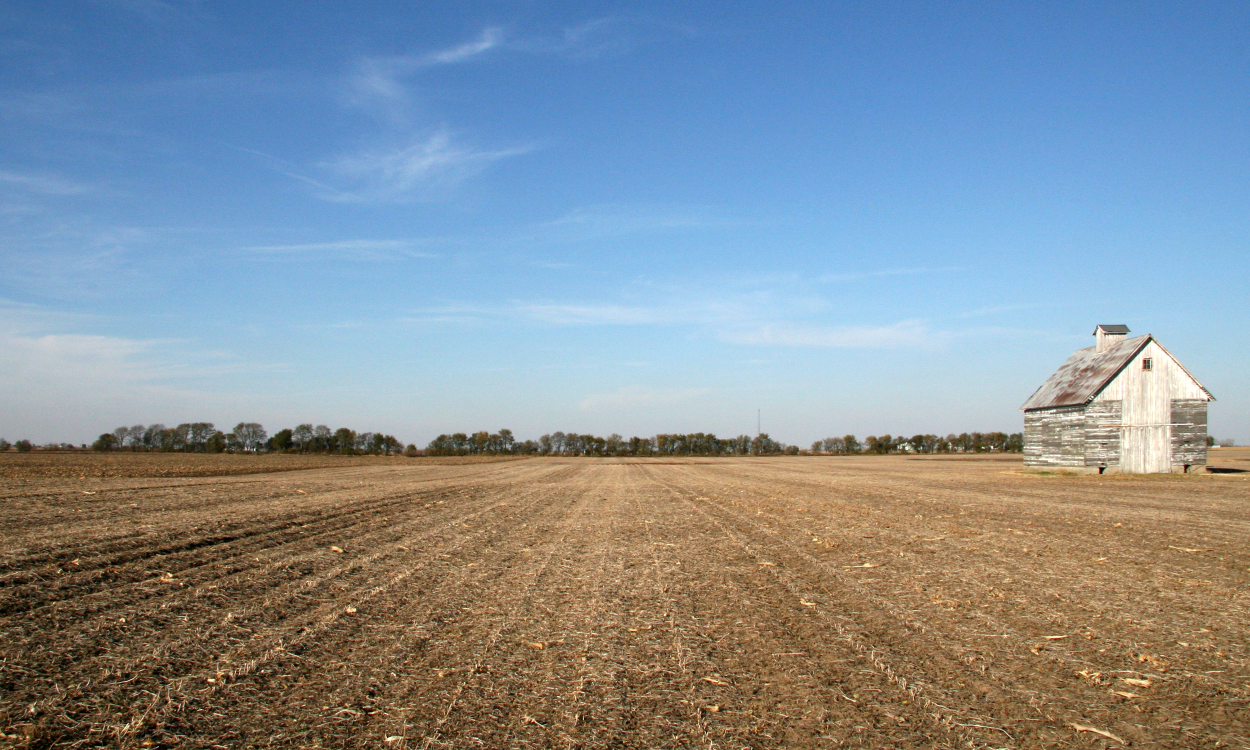 Arkansas rice field PlusPng.c