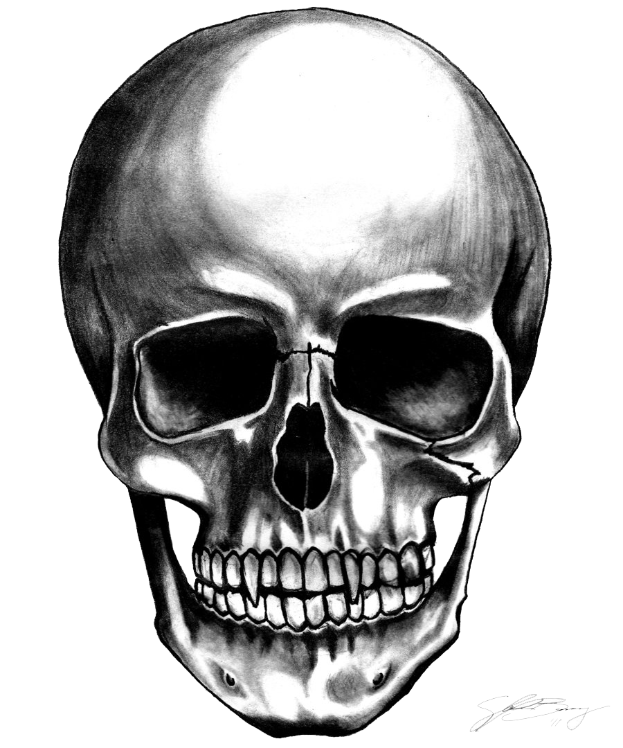 Skeleton Head PNG - 2006