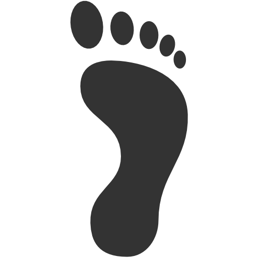 foot reprint pair footprint s