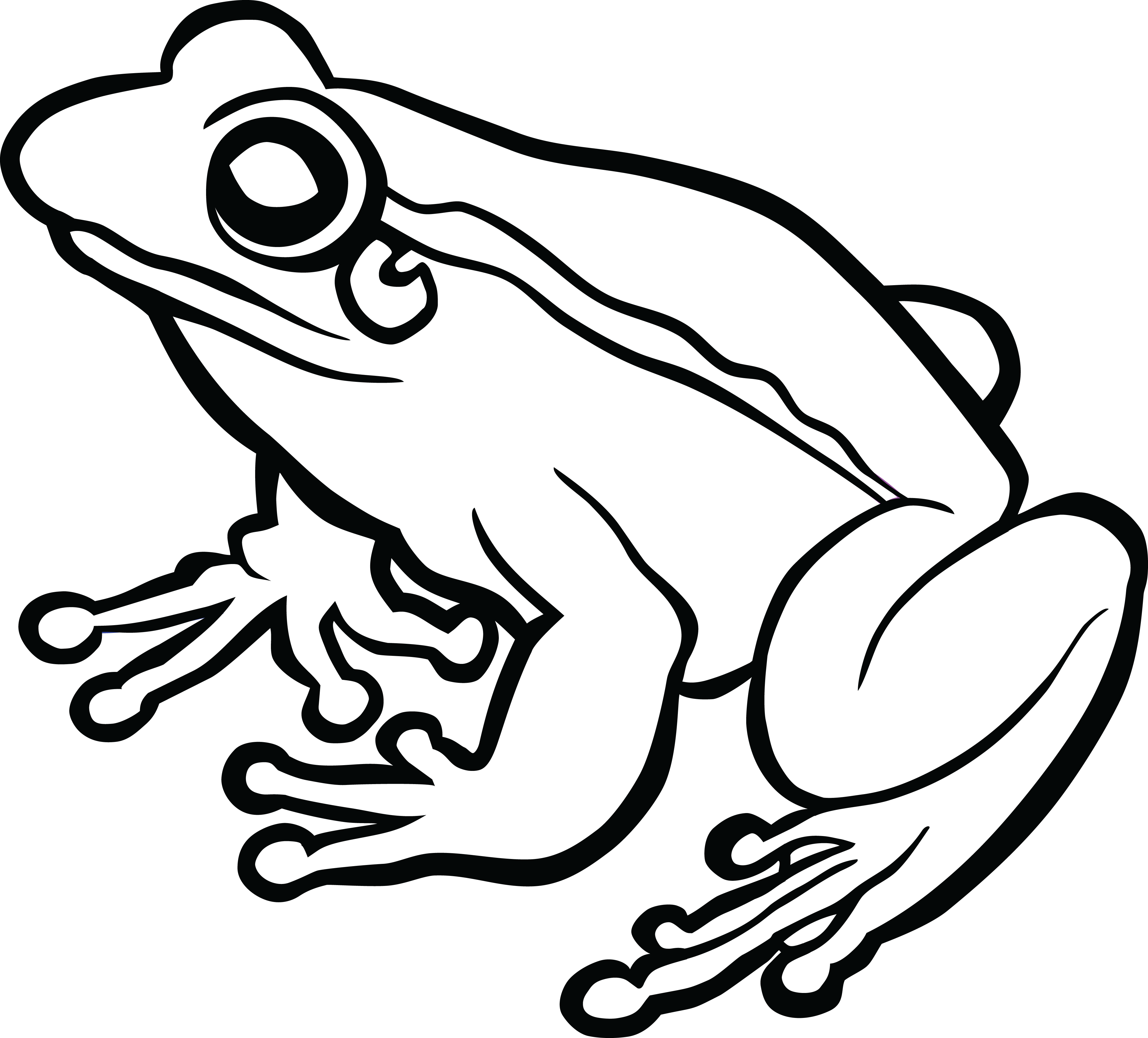 Frog Black and white Drawing 