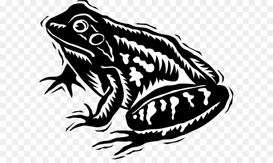 PNG Frog Black And White - 137740