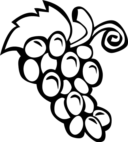 PNG Fruits Outline-PlusPNG.co