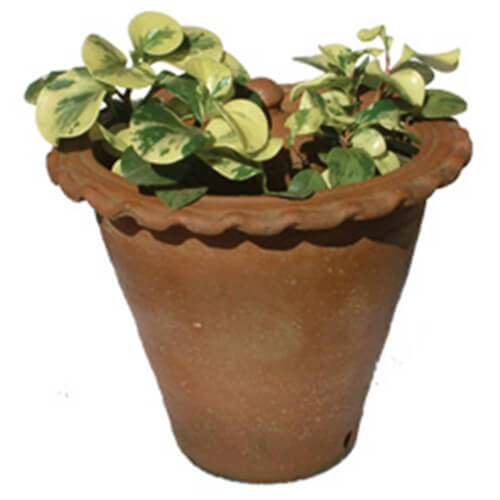 Ceramic flower pots, Small Fr