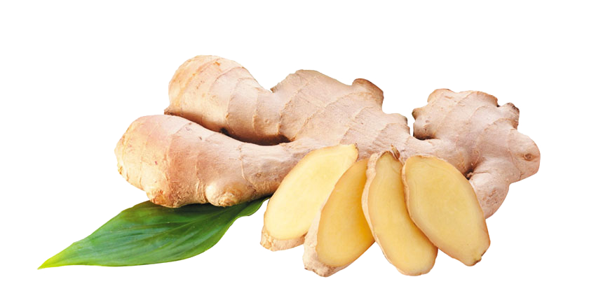Ginger PNG Clipart
