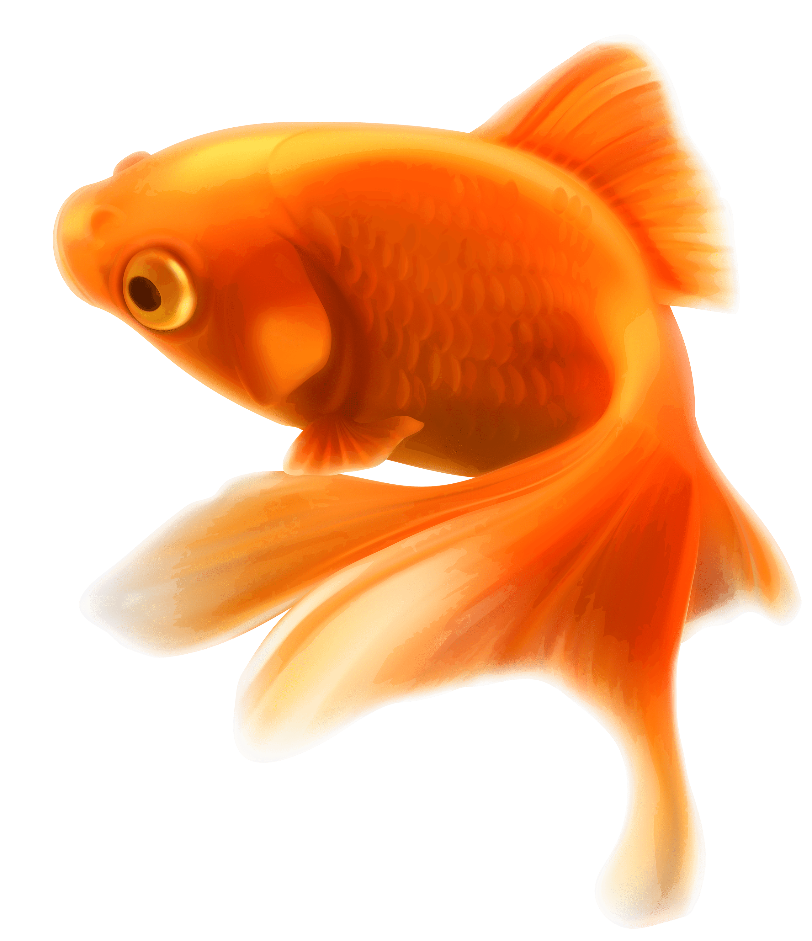 PNG Goldfish - 51676