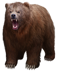 Their weapons: 5 inch grizzly