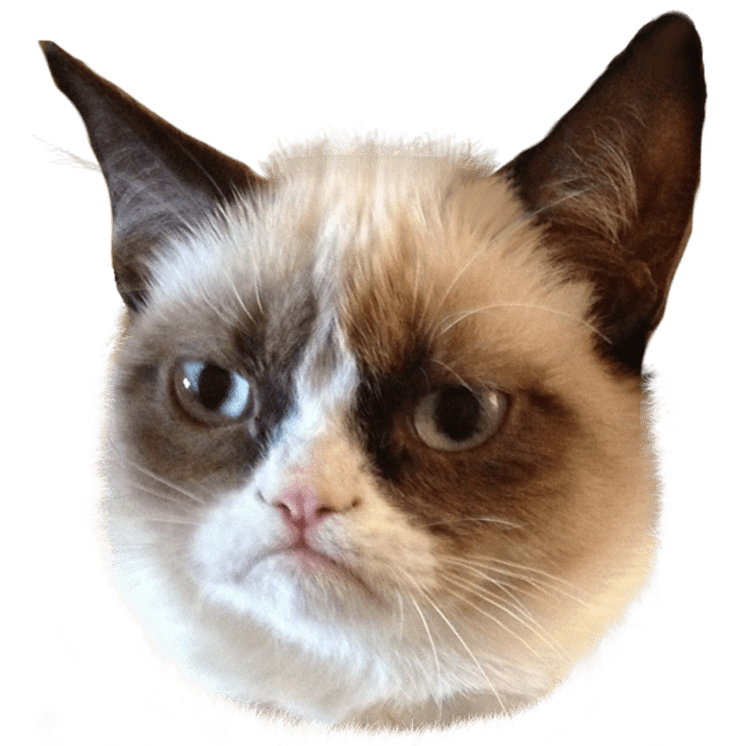 PNG Grumpy Cat - 65981