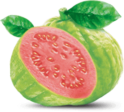 PNG Guava - 65960