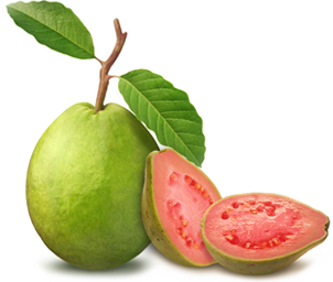 PNG Guava - 65954