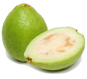 Guava PNG Image