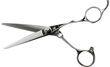 PNG Hairdressing Scissors - 50210