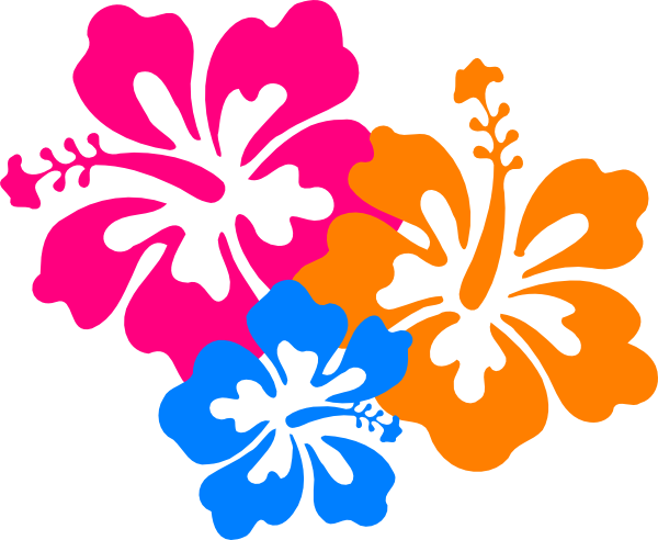 PNG Hawaiian Flower - 53358