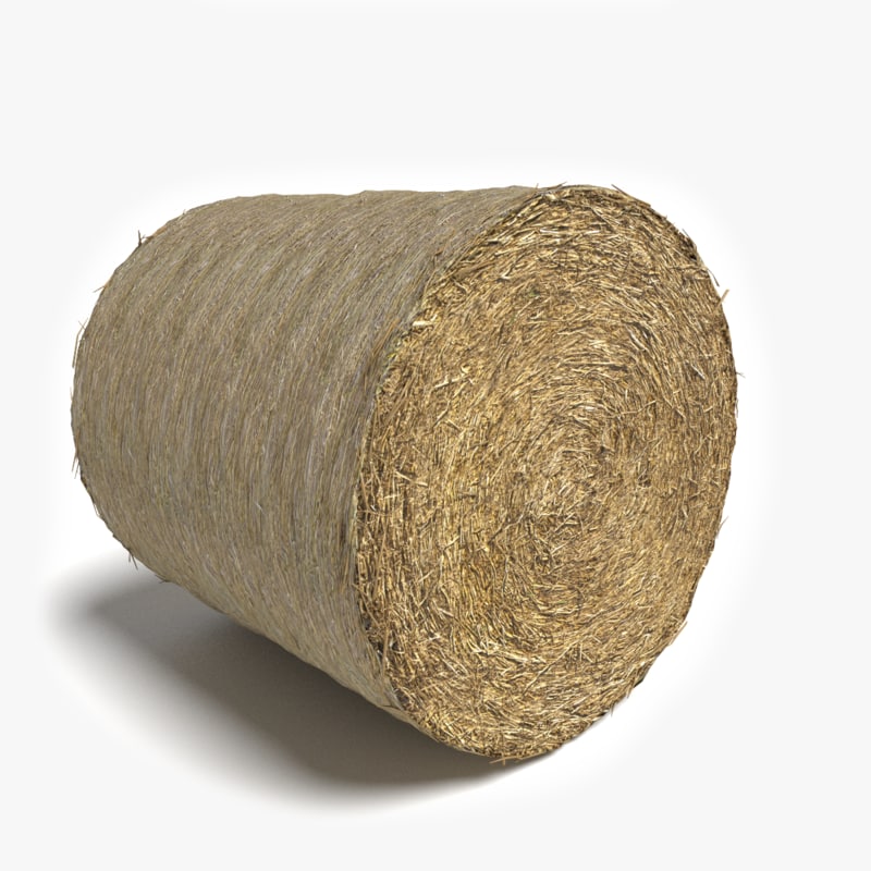 3d model bale hay