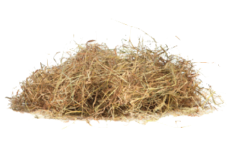 3d model bale hay