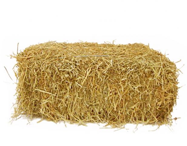 That is a pile of hay, PlusPn