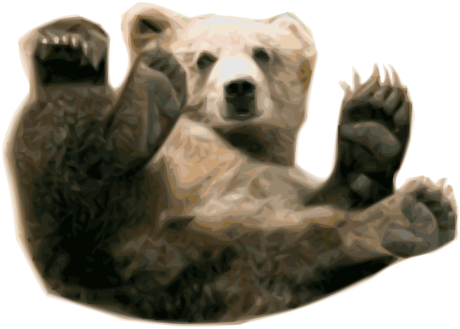 PNG HD Bear - 150396