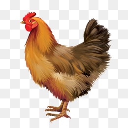PNG HD Chicken - 140676