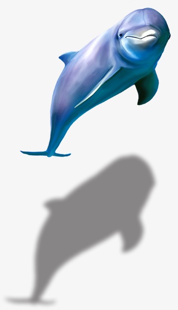 PNG HD Dolphin - 154301