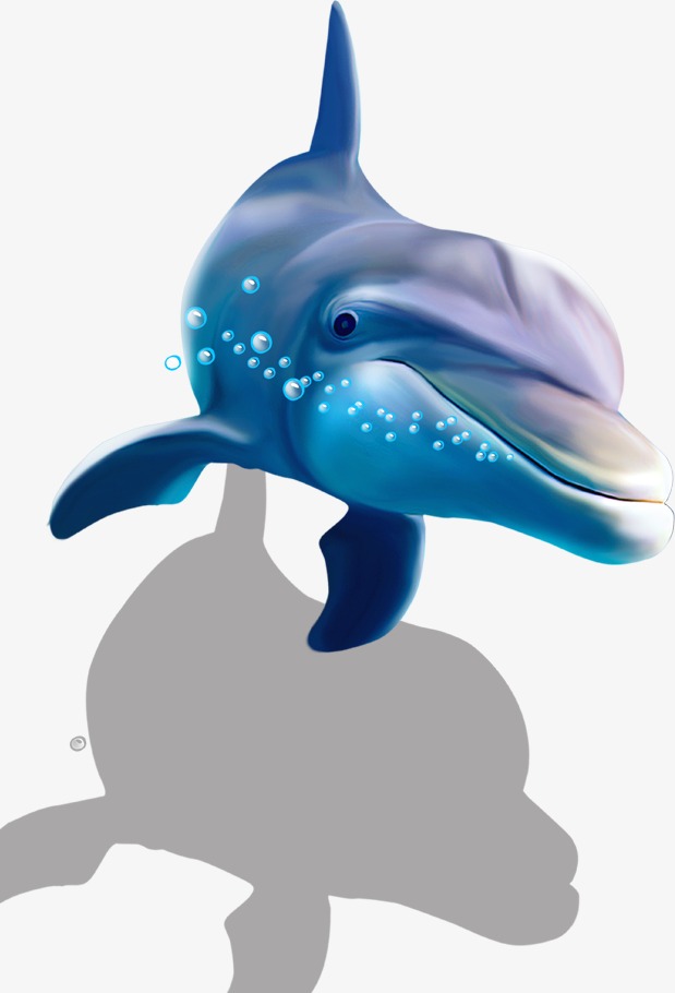 PNG HD Dolphin - 154298