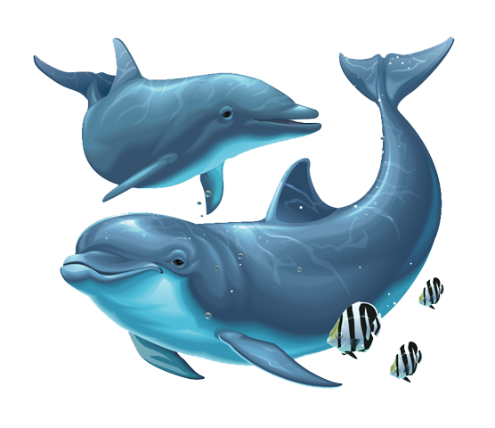 PNG HD Dolphin - 154285